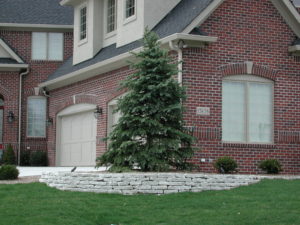limestone wall stone