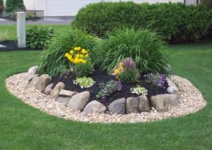 Mulch Vs Rock Which Is Best For Your, Rock Vs Mulch Landscaping