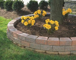 tree edging landscape block Columbus Indiana