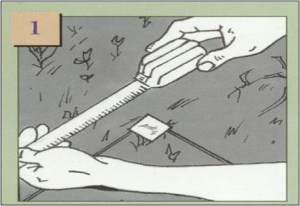 building a patio in greensburg indiana