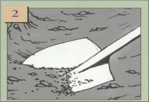 building a walkway in Columbus Indiana