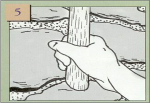 Patio Paver Franklin Indiana