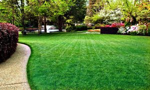 lawn fertilizer in Columbus Indiana