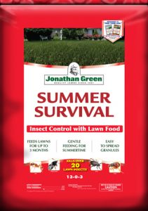 Summer survival for lawns in Columbus Indiana